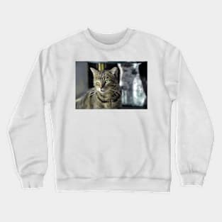 Window Shopping Crewneck Sweatshirt